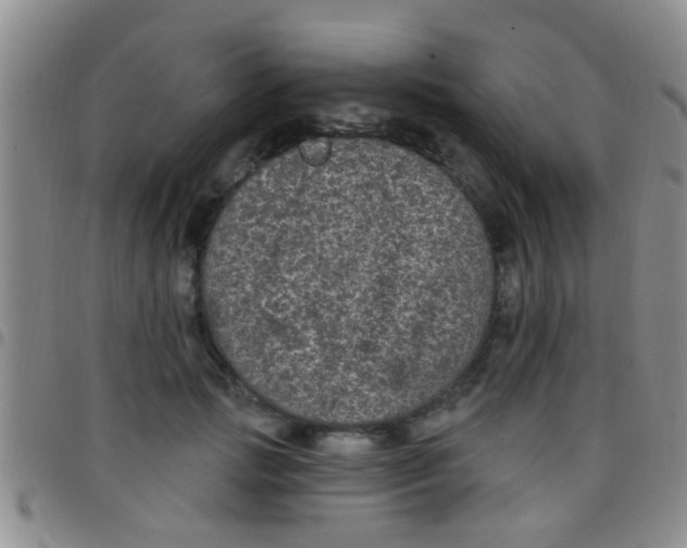 X0000097510749200803142040