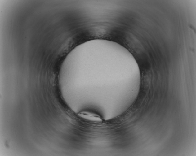 X0000097510750200803142040