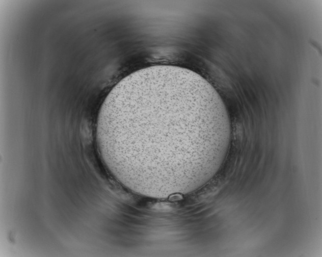 X0000097510751200803142040