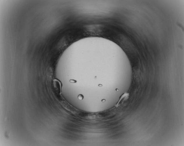 X0000097510752200803142041