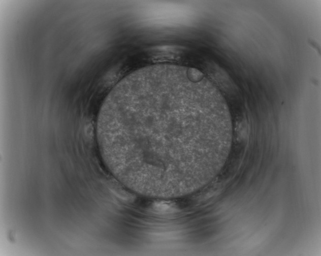 X0000097510753200803142041