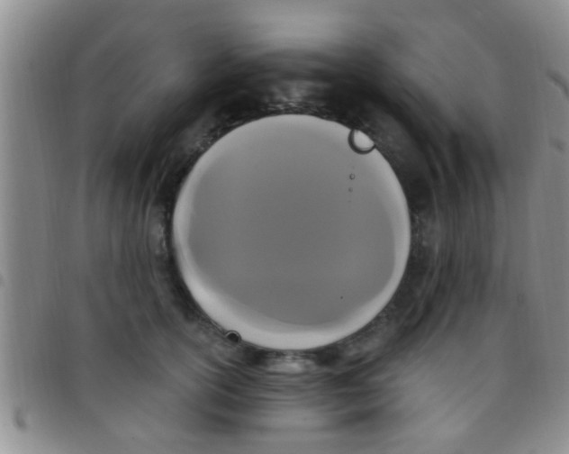 X0000097510754200803142041