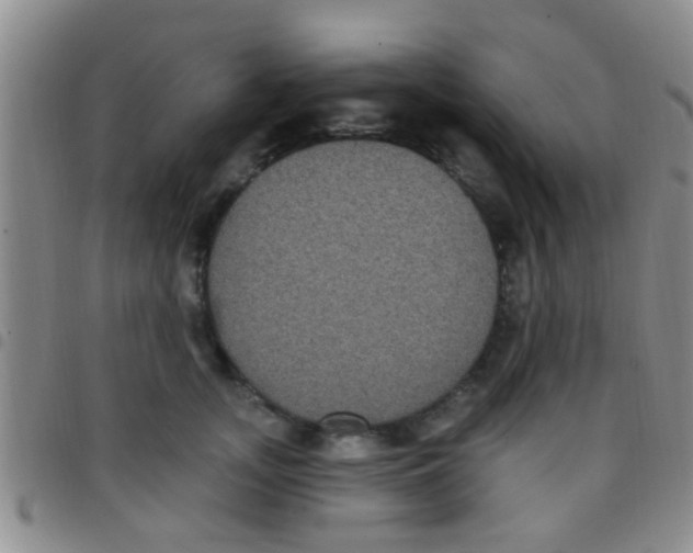 X0000097510755200803142041