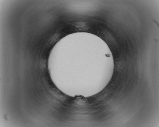 X0000097510756200803142041