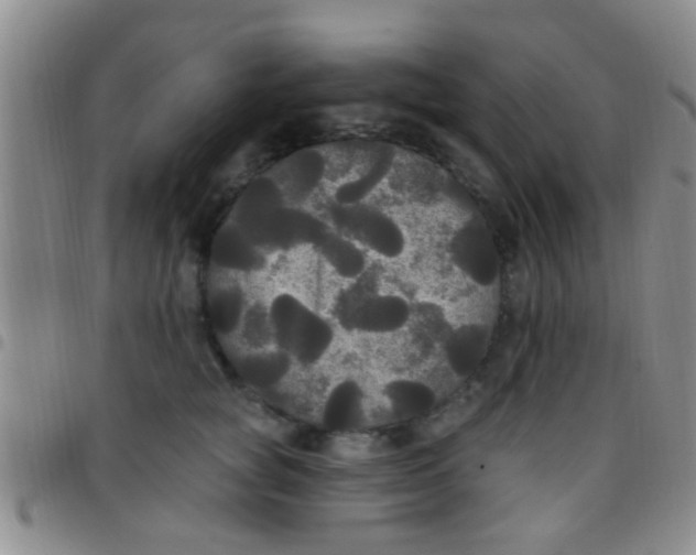 X0000097510757200803142041