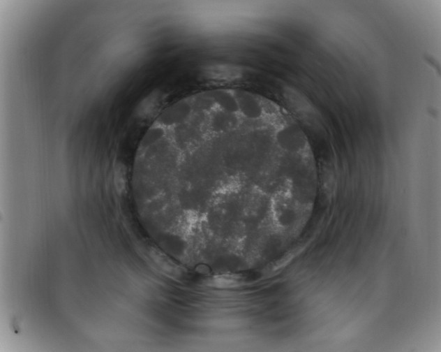 X0000097510758200803142041