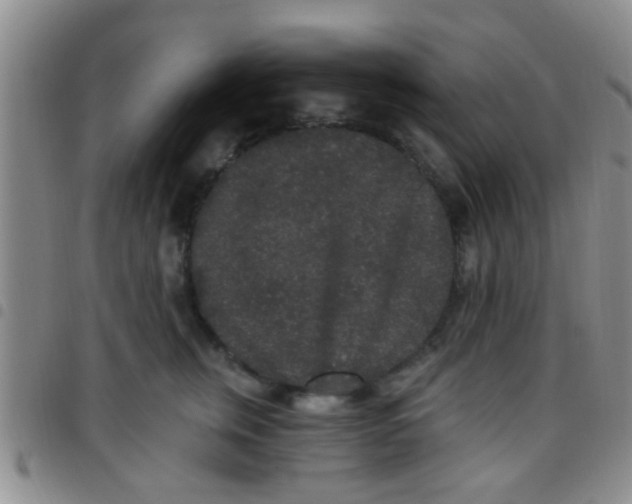 X0000097510759200803142041