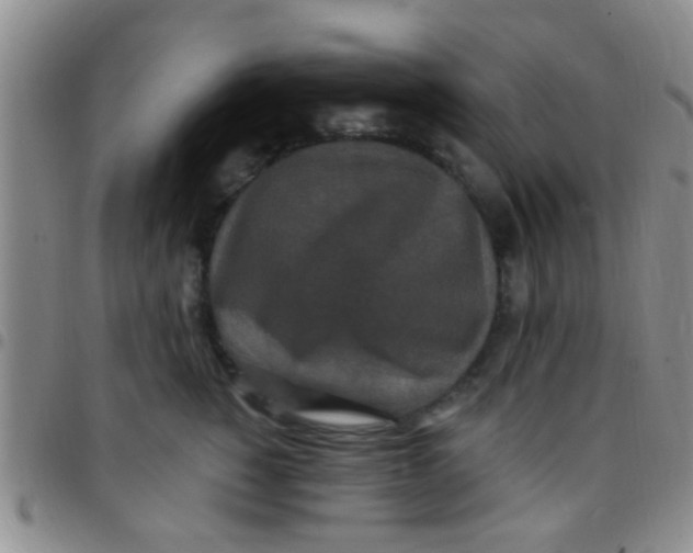 X0000097510760200803142041