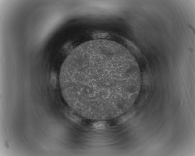 X0000097510761200803142041