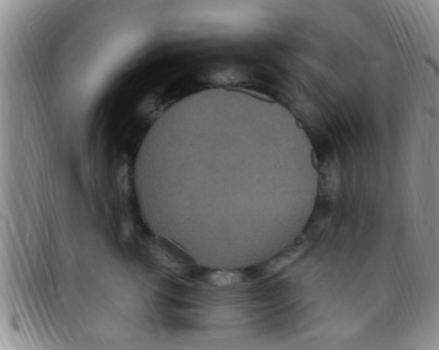 X0000097510762200803142041