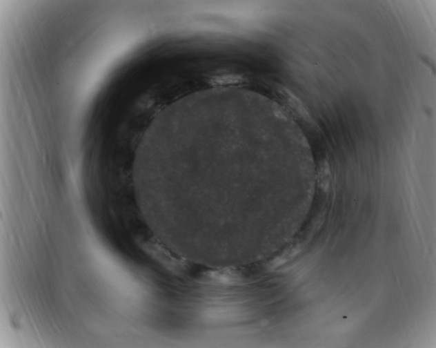 X0000097510763200803142041