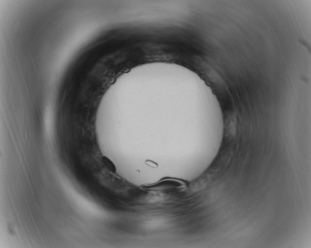 X0000097510764200803142041