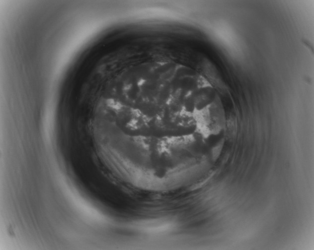 X0000097510765200803142041