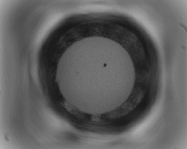 X0000097510766200803142041