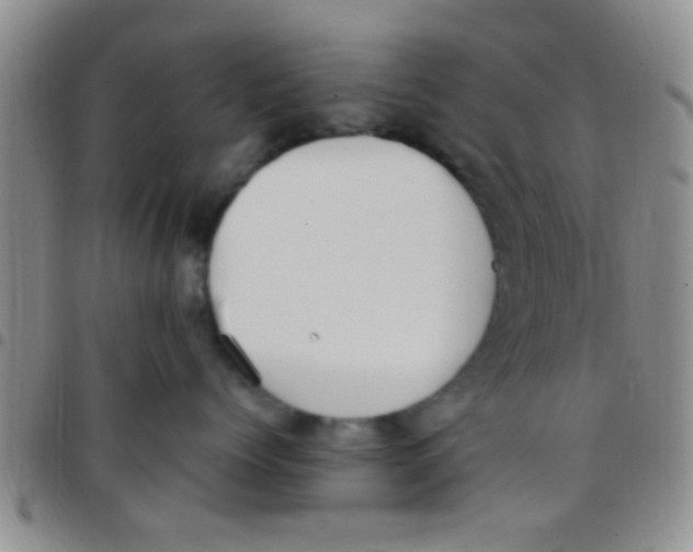 X0000097510768200803142041