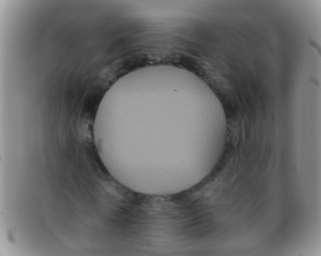 X0000097510770200803142040