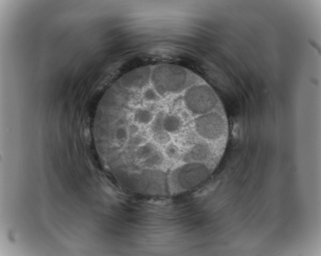 X0000097510771200803142040