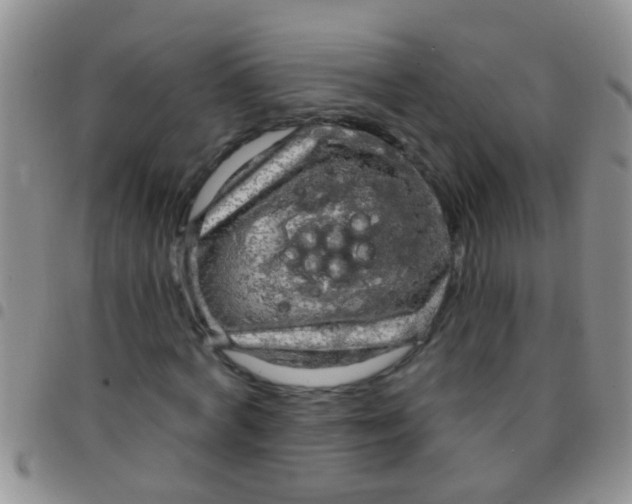 X0000097510772200803142040