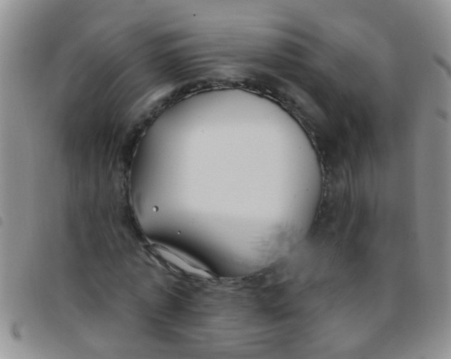 X0000097510773200803142040