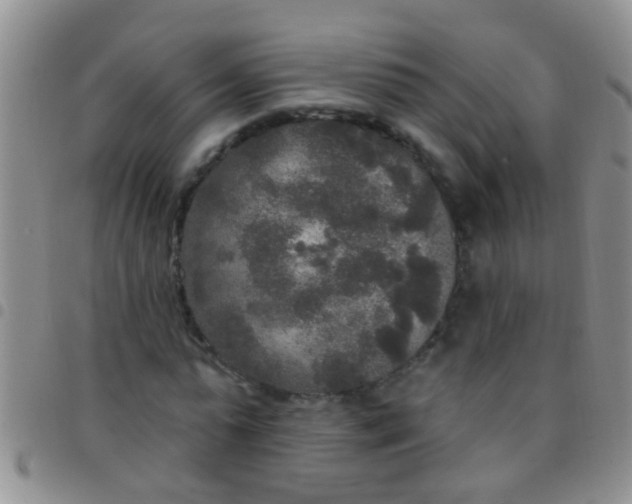 X0000097510775200803142040