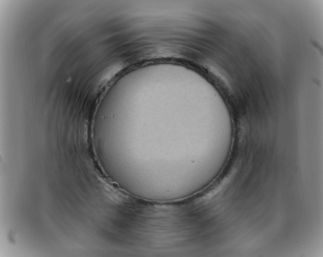 X0000097510777200803142040