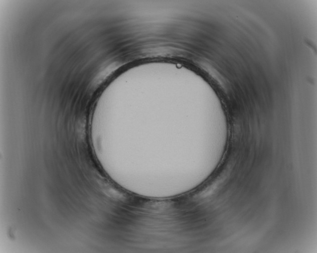 X0000097510778200803142040