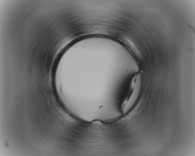 X0000097510780200803142040