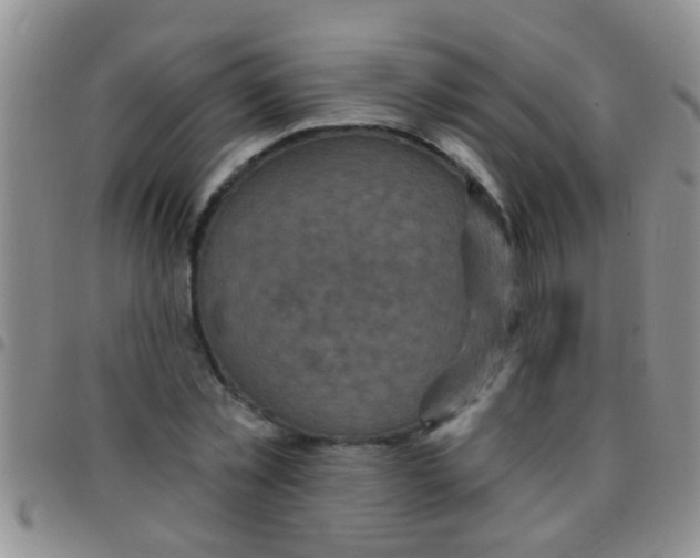 X0000097510781200803142040