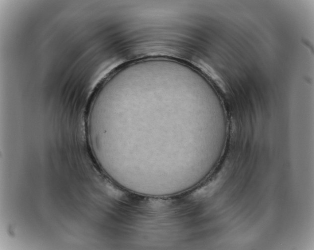 X0000097510782200803142040