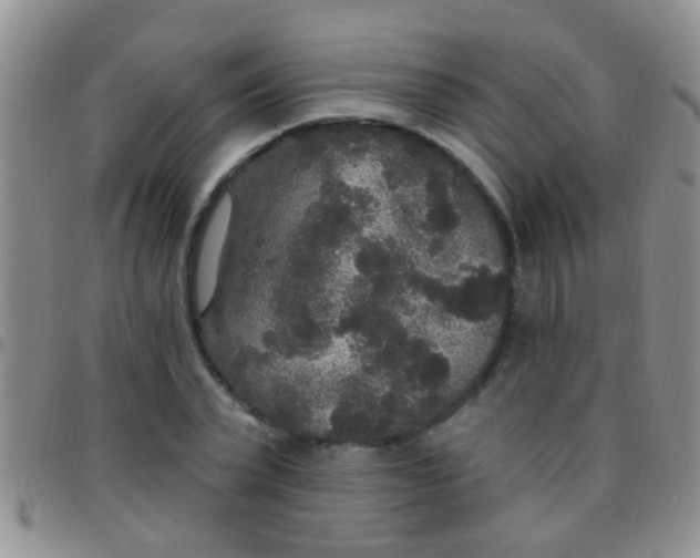 X0000097510783200803142040