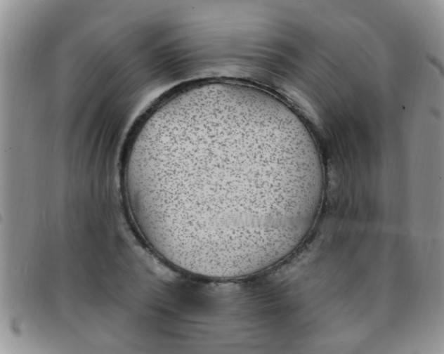 X0000097510784200803142040