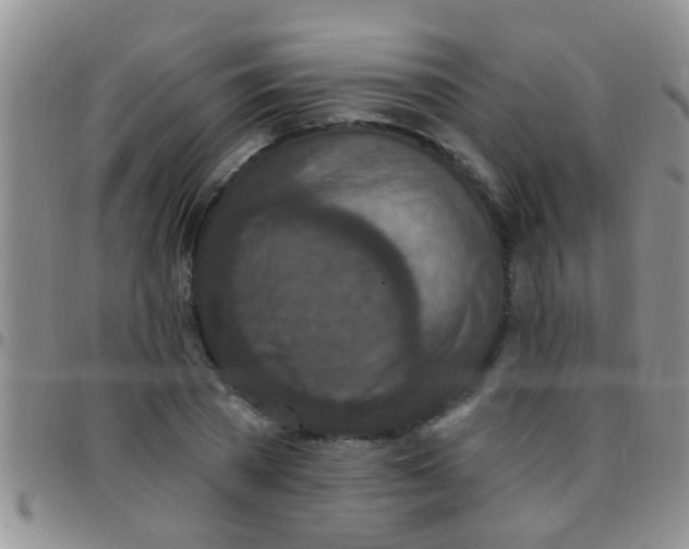 X0000097510785200803142040