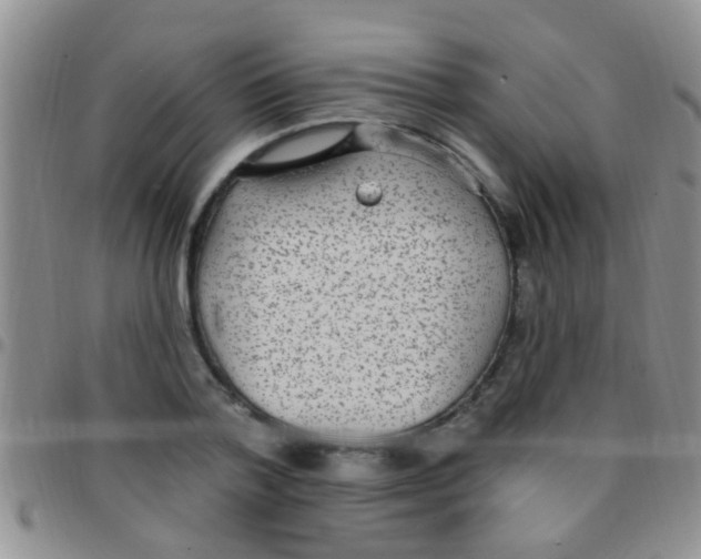 X0000097510788200803142040