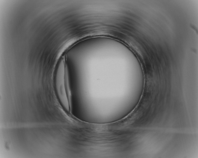 X0000097510789200803142040