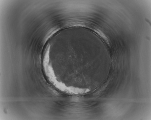 X0000097510790200803142040