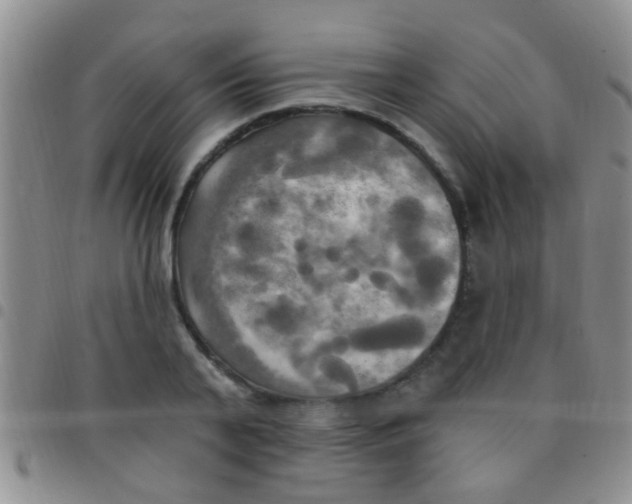 X0000097510791200803142040