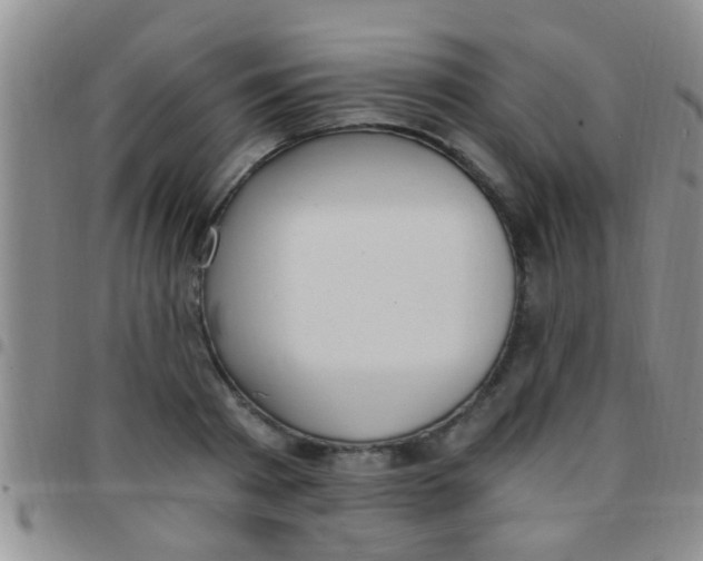 X0000097510793200803142040