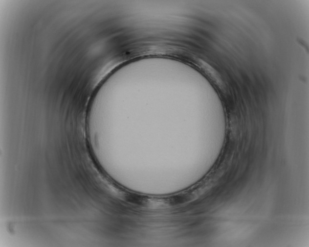 X0000097510794200803142040