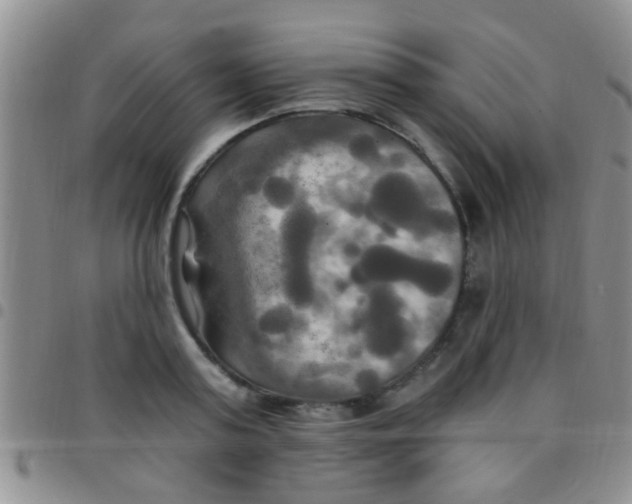 X0000097510795200803142040