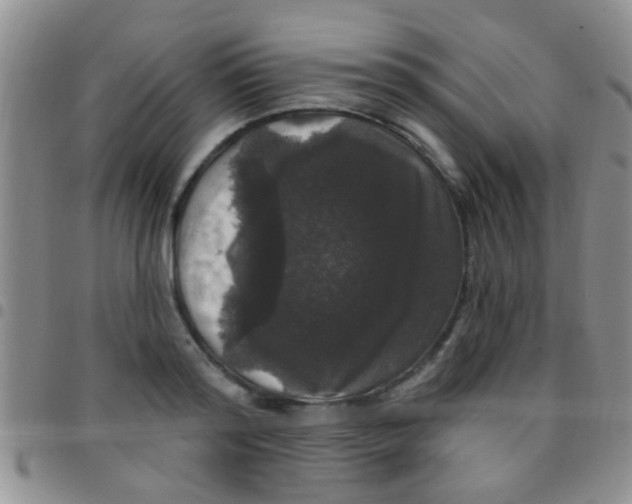 X0000097510796200803142040