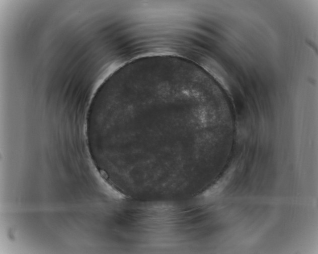 X0000097510797200803142040