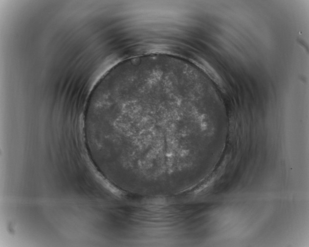 X0000097510798200803142040