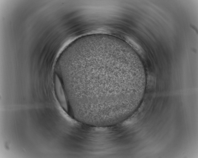 X0000097510800200803142040