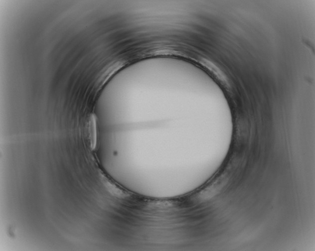 X0000097510801200803142040