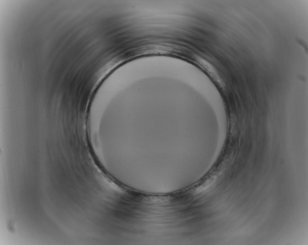 X0000097510802200803142040