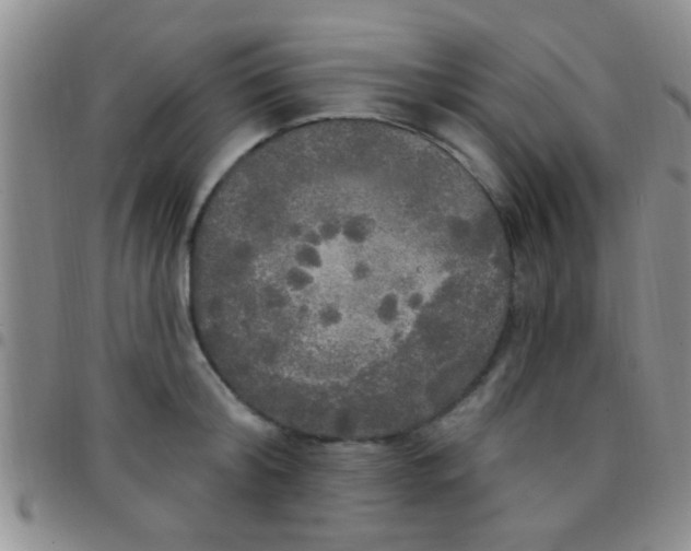 X0000097510804200803142040