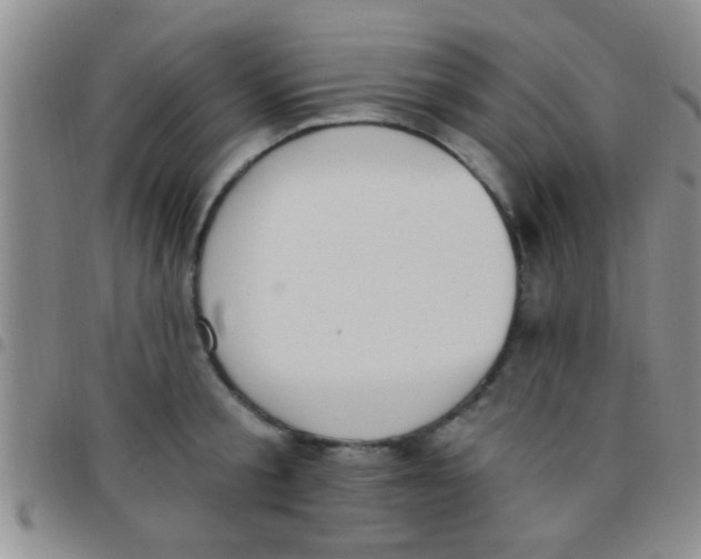 X0000097510805200803142040