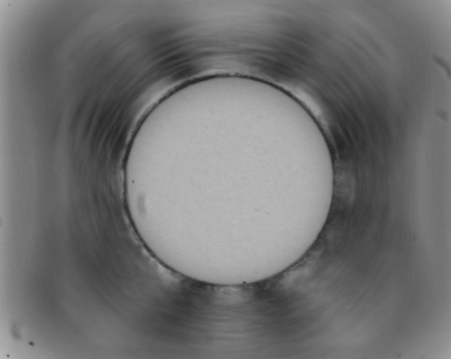 X0000097510807200803142040