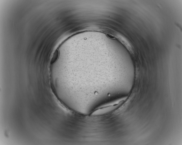 X0000097510808200803142040