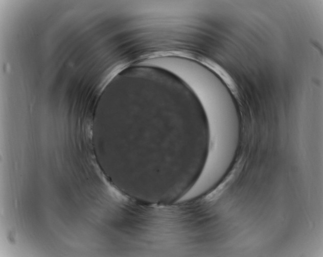 X0000097510809200803142040